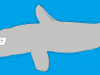 delfin-karin
