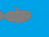 morski-pes-rok